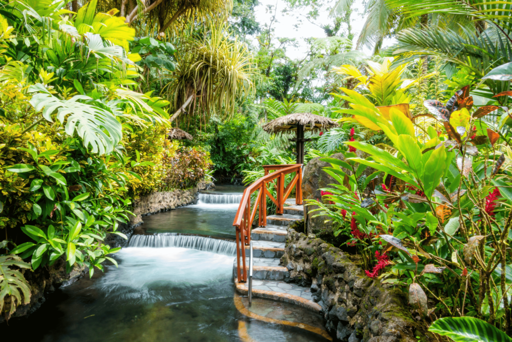 river running next to jungle