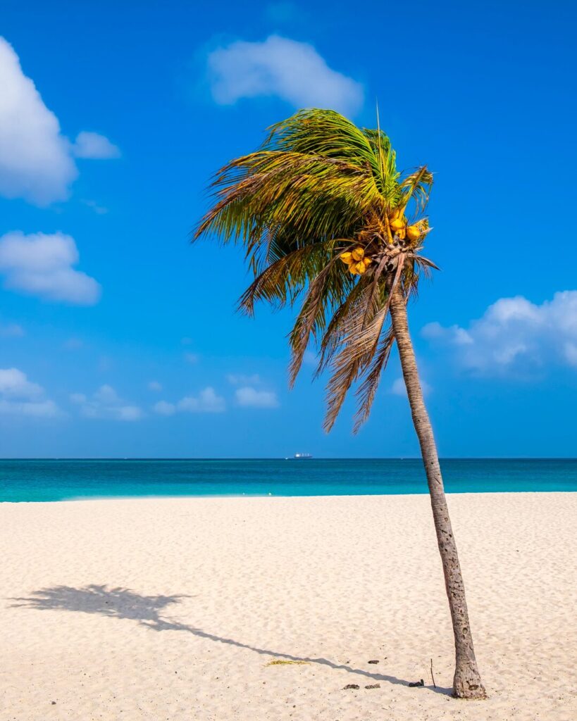 aruba beach
