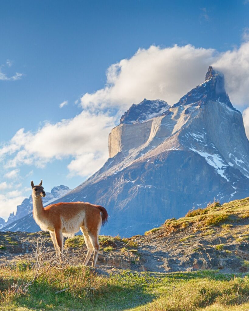 chilean patagonia
