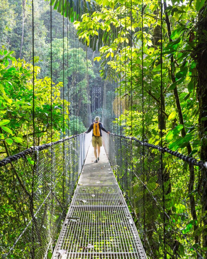 cloud forrest costa rica