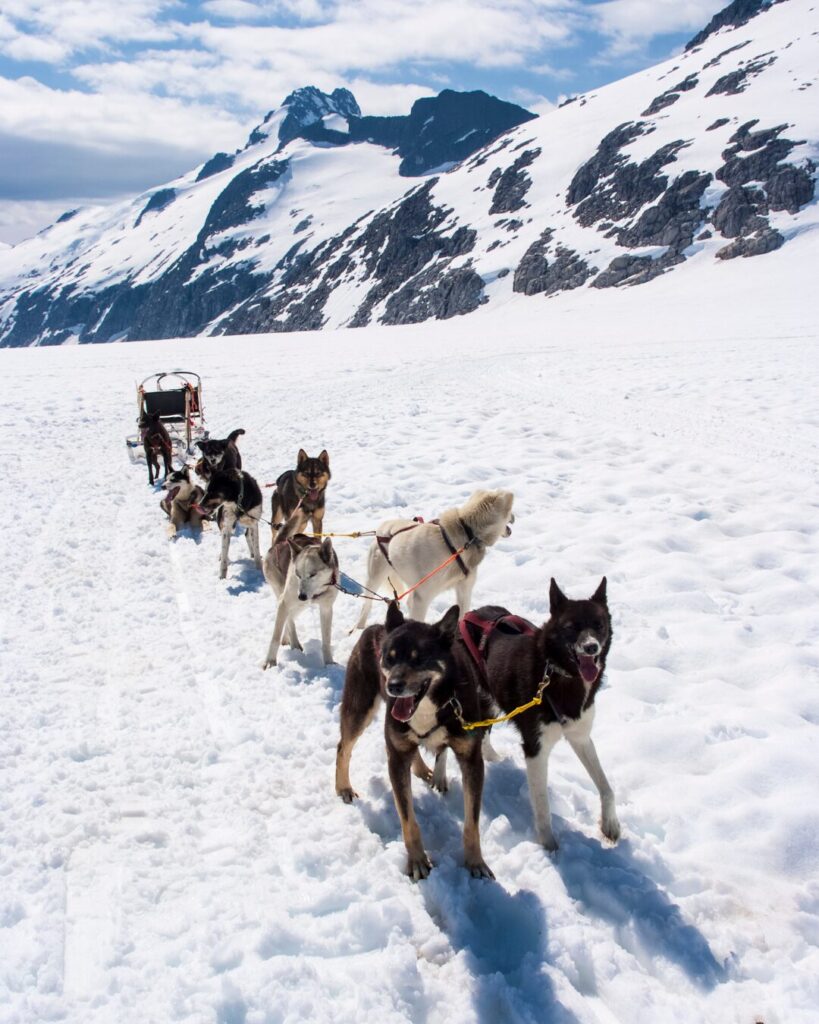 dog sledding greenland