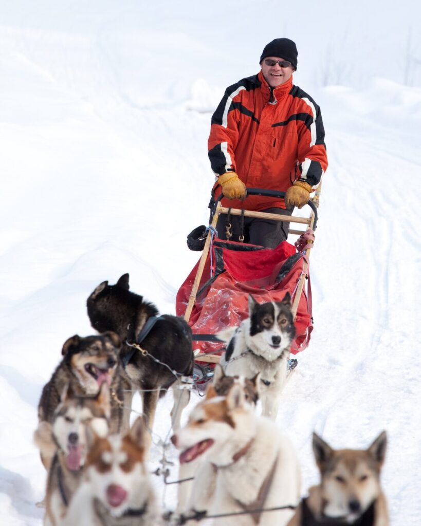 dogsledding arctic