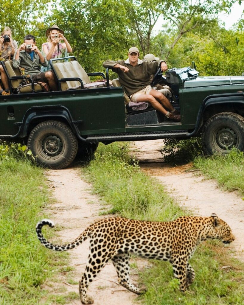 kruger national park south africa