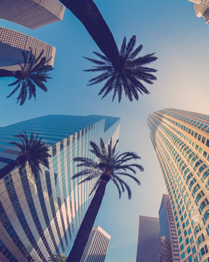 los angeles