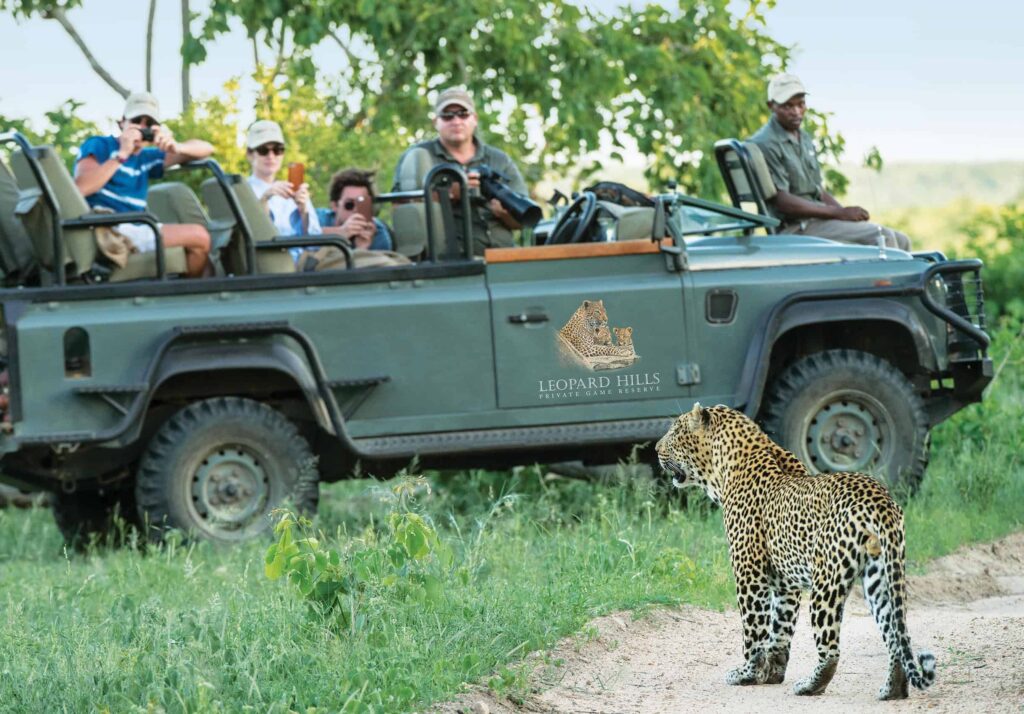 Safari goers in a open Jeep photographing a leopard